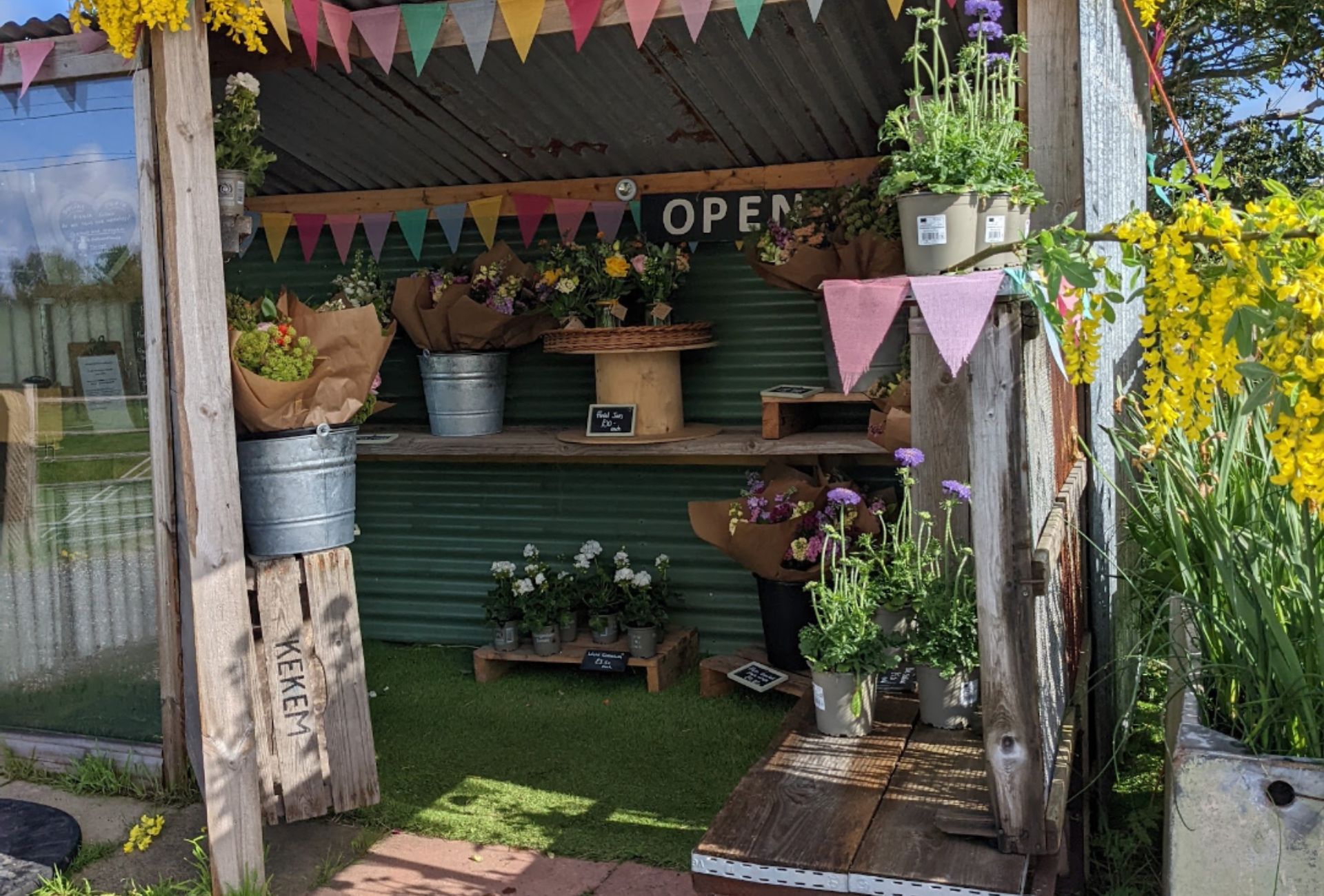 flora fauna flower stand 3