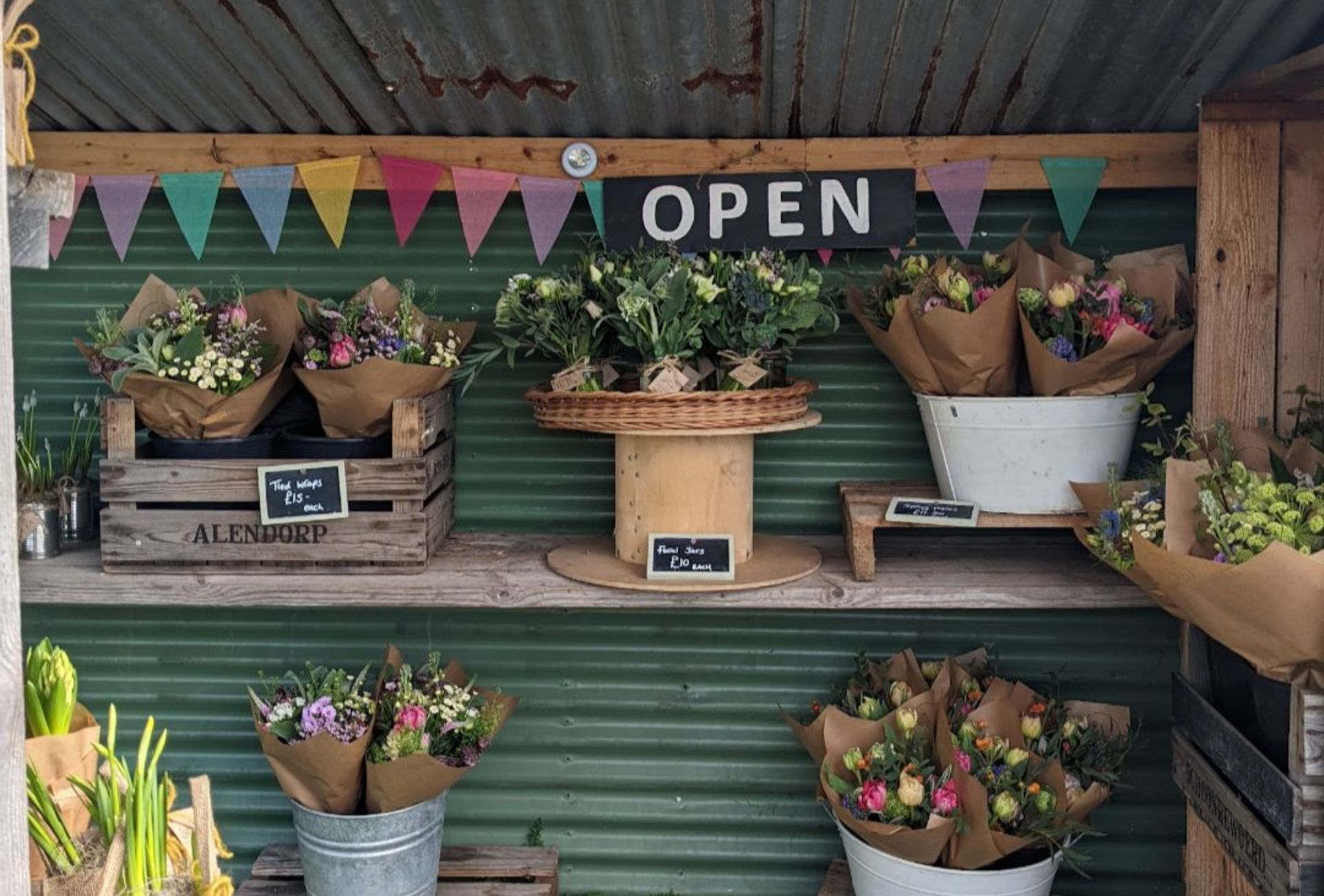 flora fauna flower stand 1