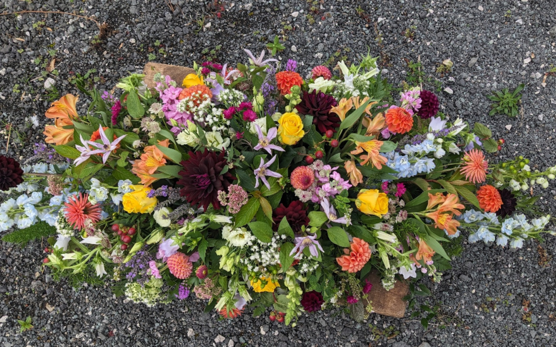 flora fauna funeral aug 2025 46