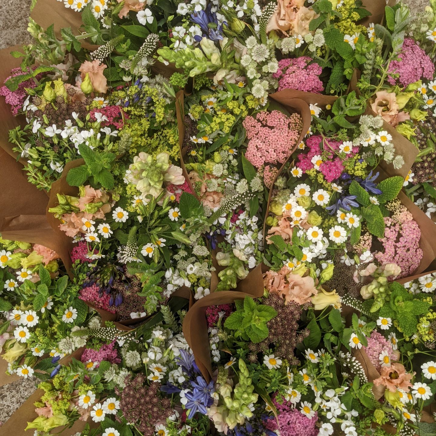 subscription flowers