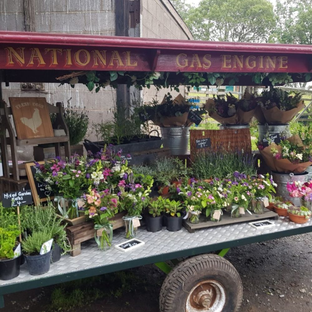 flora fauna flower stand 8