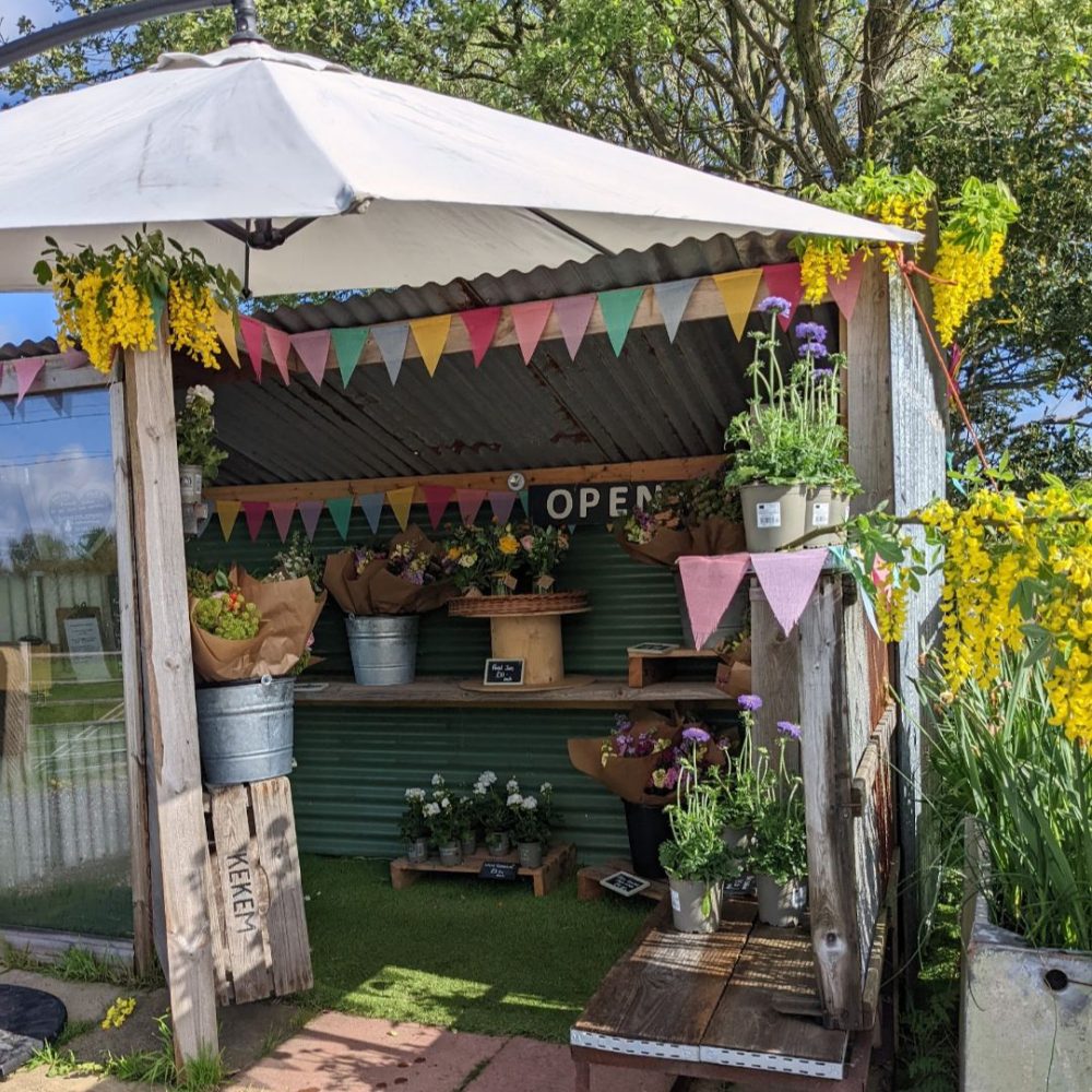 flora fauna flower stand 6